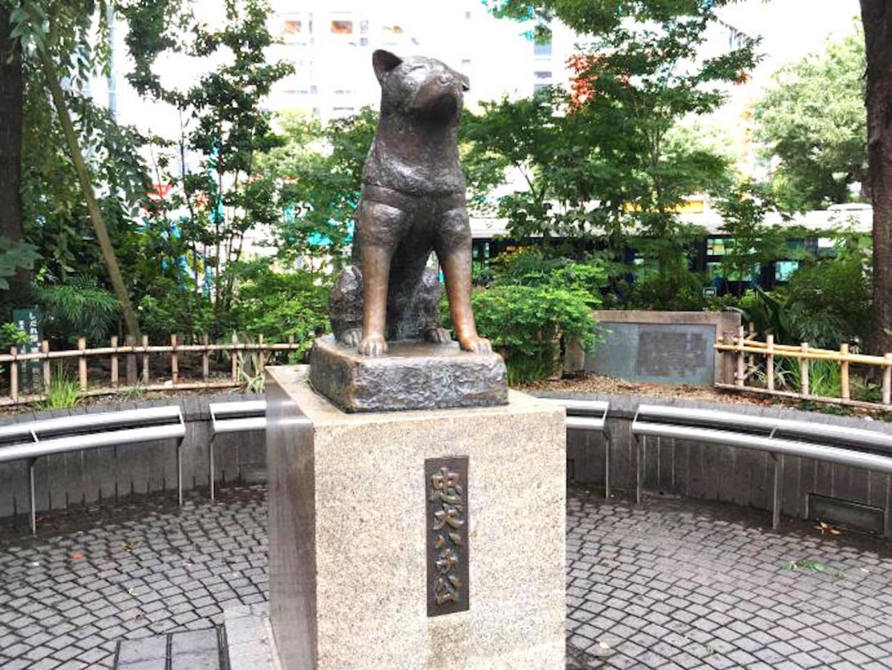 Shibuya Anon #a101 Apartment Präfektur Tokio